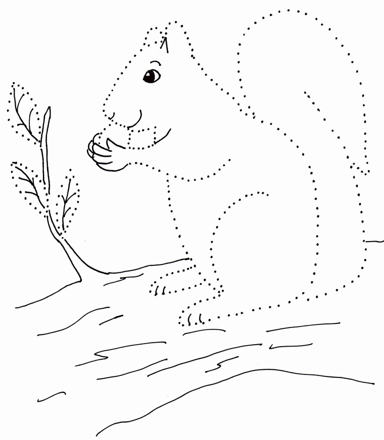 760x872 How To Draw A Squirrel Step 1. How To Draw A Squirrel Step By Step