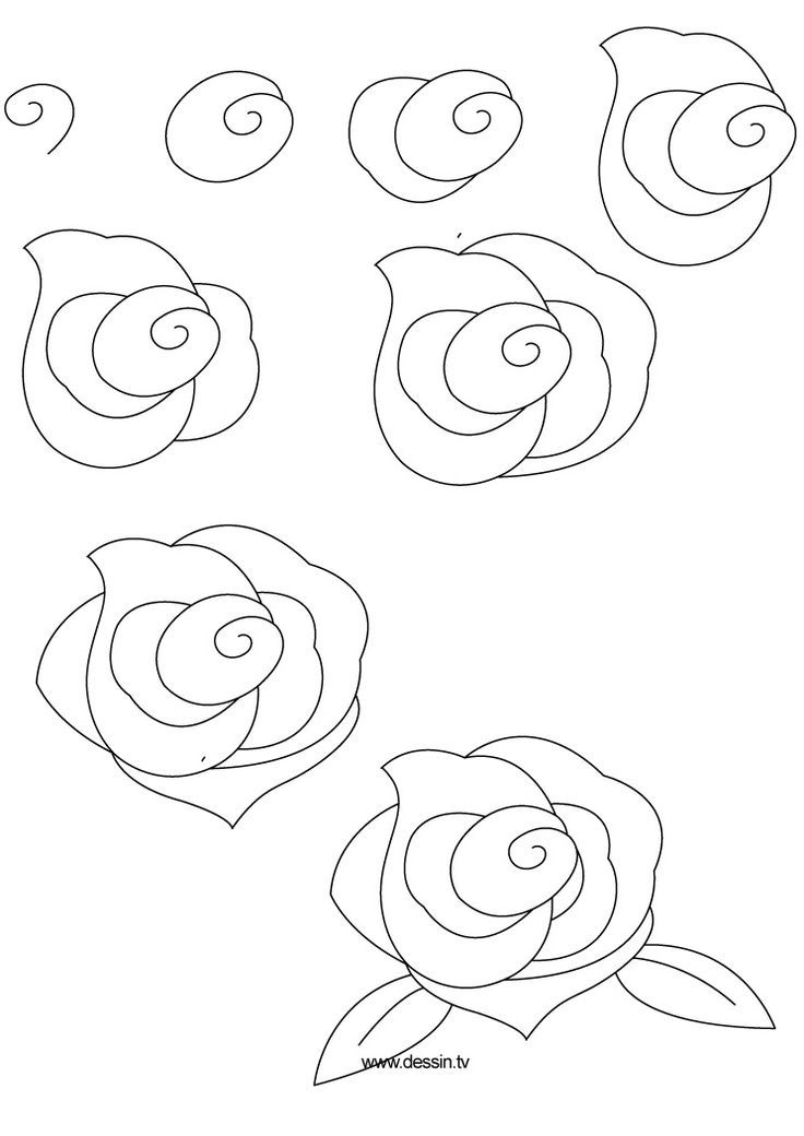 736x1040 Gallery Draw A Easy Rose Flower Vase Step By Step,