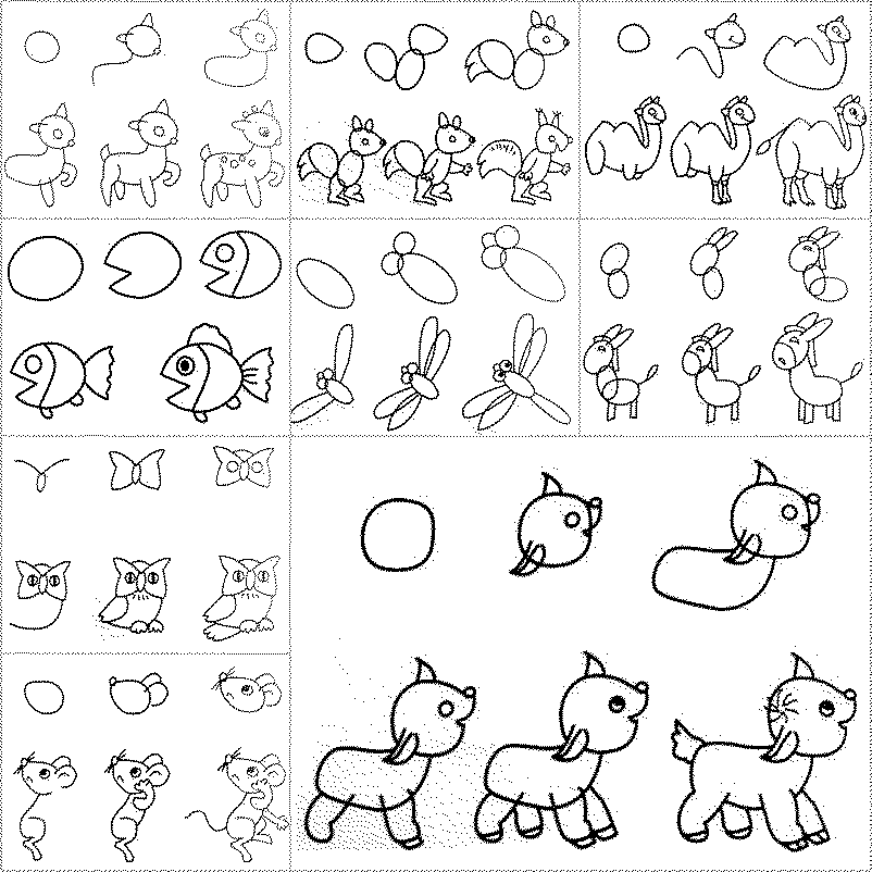 802x802 How To Draw Easy Animal Figures In Simple Steps