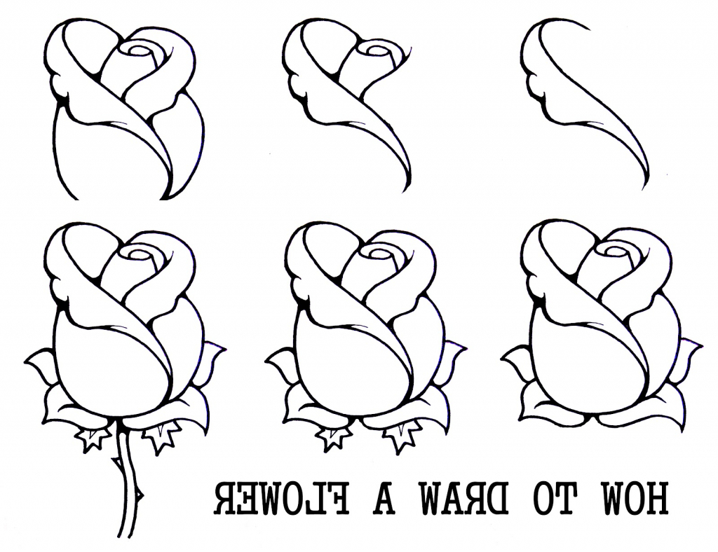 1024x788 Rose Sketch Step By Step Simple Step Rose Drawings Simple Rose