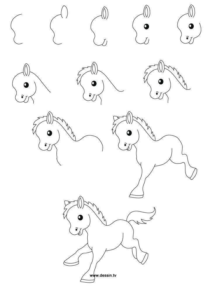 736x981 Easy drawing steps Learn How To Draw A Little Pony With Simple