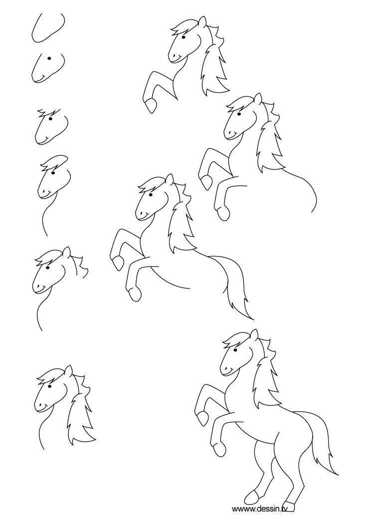 744x1052 Step By Step Drawing Animals How To Draw A Pony With Simple Step