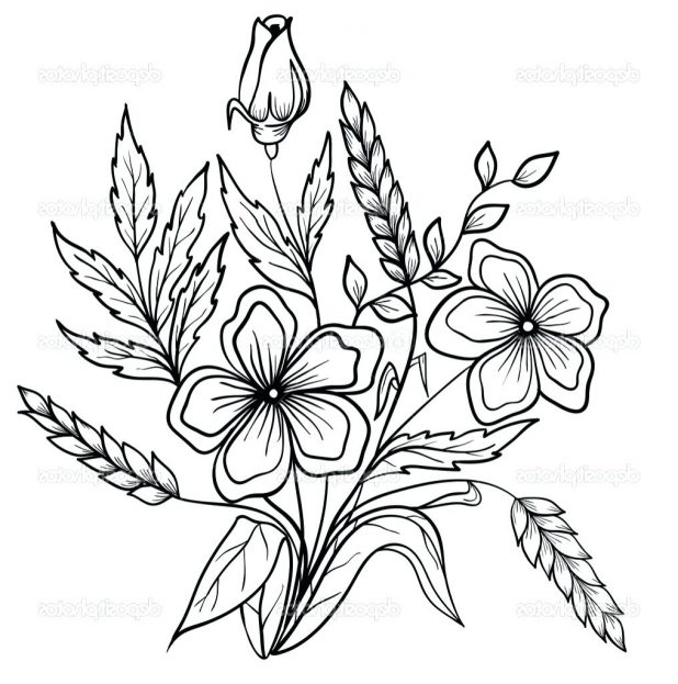 618x623 Coloring Pages Wonderful Flower Drawing Outline. Lily Flower