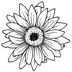 Simple Sunflower Drawing at GetDrawings | Free download