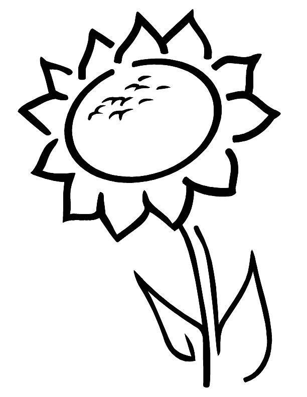 612x792 Printable Sunflower Coloring Pages Coloring Me