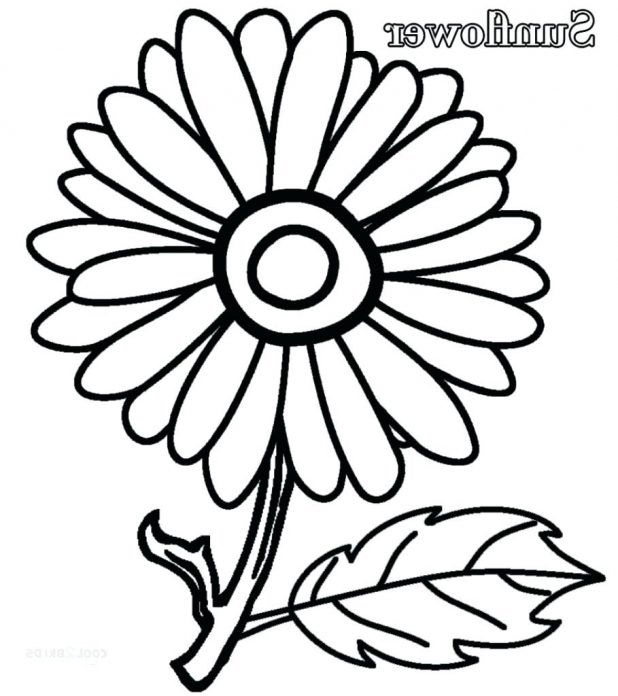 618x696 Simple Sunflower Coloring Page
