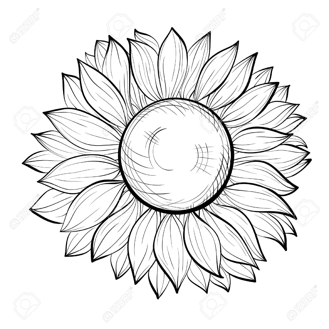 1300x1300 Black And White Sunflower Drawing Beautiful Black And White