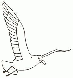 233x250 How To Draw A Seagull In Flight, Step By Step. (Add To Picture