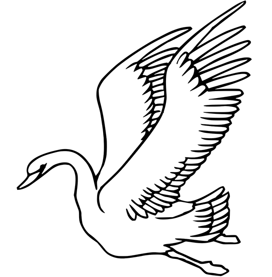 554x565 Flying Bird Coloring Pages