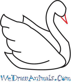 300x350 How To Draw A Swan