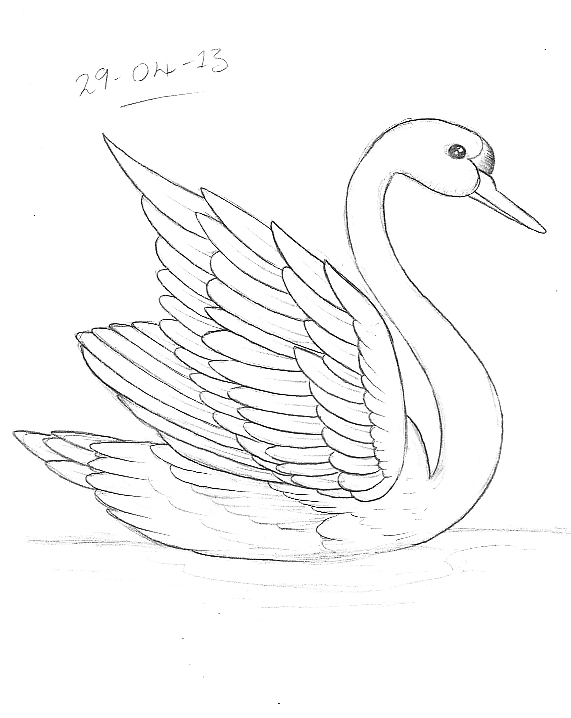 571x718 Tattoo Sketch A Day Birds April 22nd