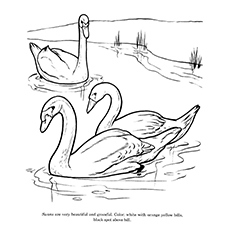 230x230 Top 10 Swan Coloring Pages For Your Little Ones