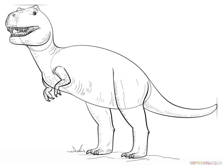 770x575 How To Draw Tyrannosaurus Rex Step By Step Drawing Tutorials
