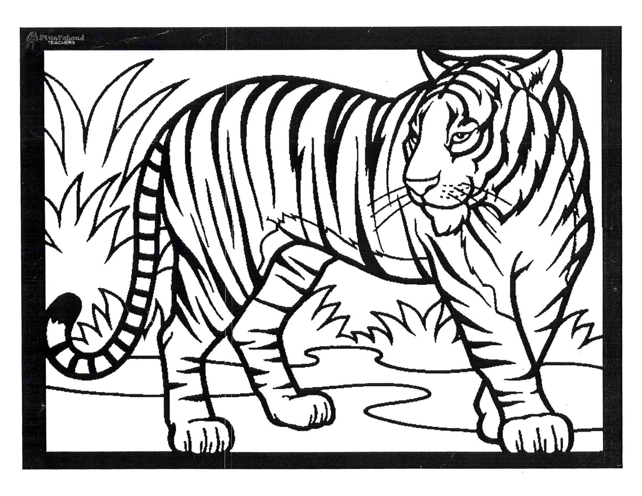 2607x2014 Simple Tiger Drawing Simple Drawing Of Tiger