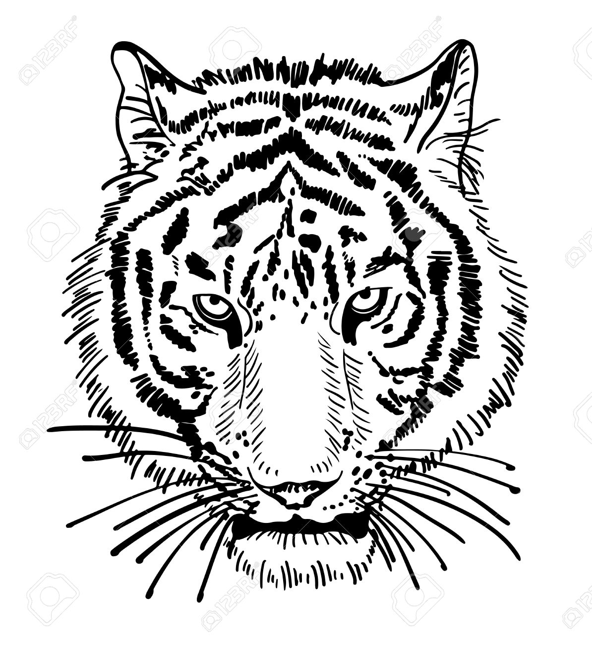 Simple Tiger Face Drawing