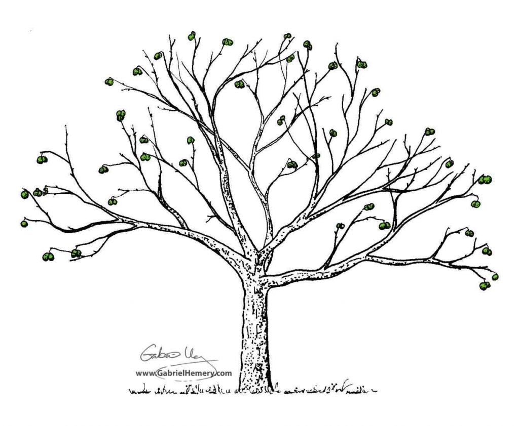 1024x842 Simple Tree Drawing