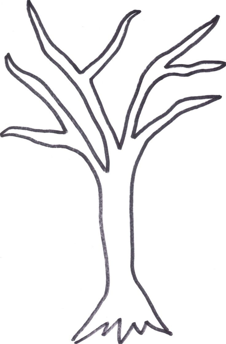 736x1117 Simple Tree Drawings Simple Tree Drawing
