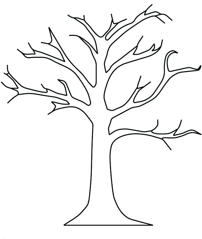 700x825 Tree Coloring Pages Coloring Pages Tree This Coloring Page