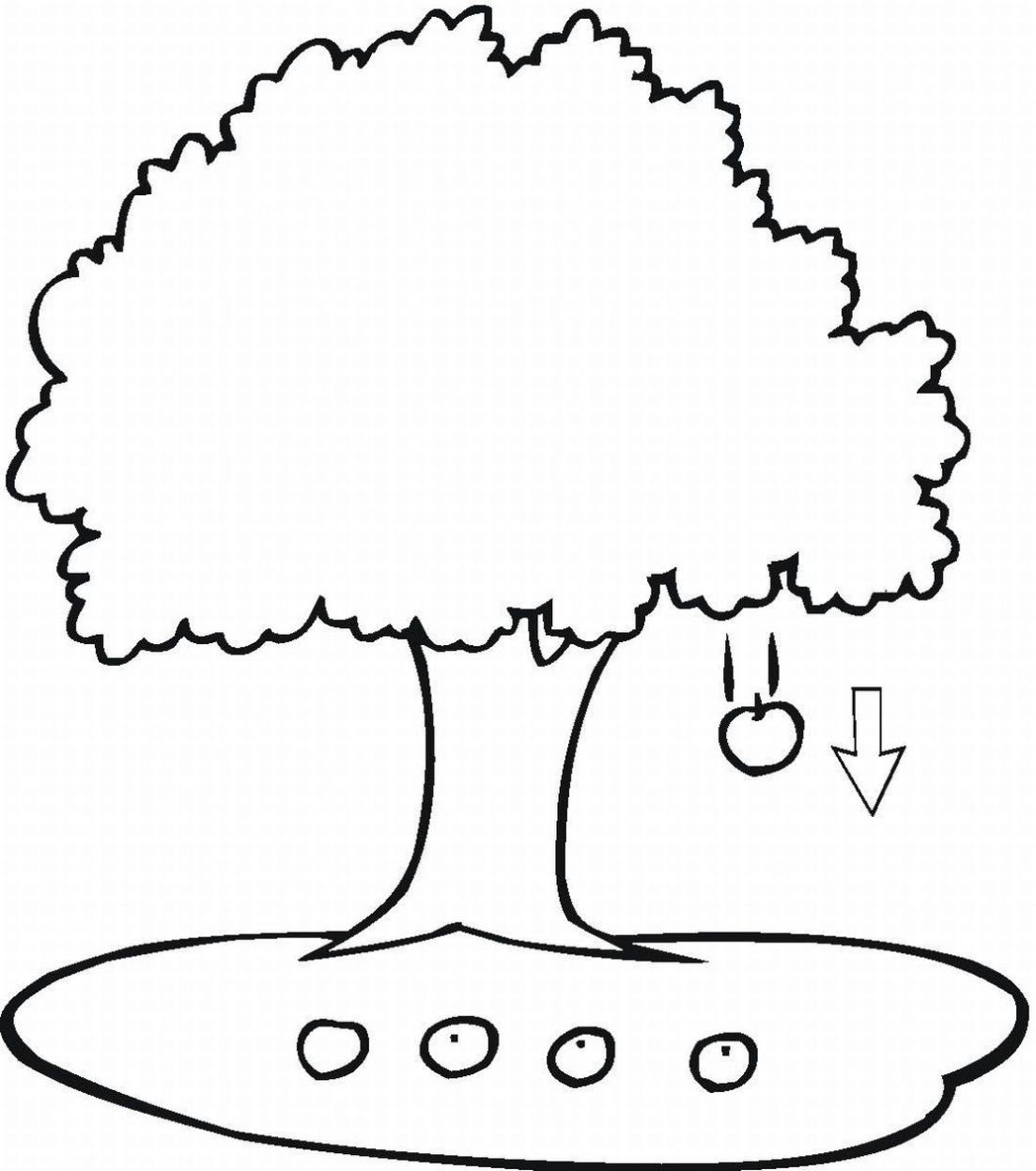 1103x1247 Coloring Pages Trees Google Search Tree Printable For Kids Bare