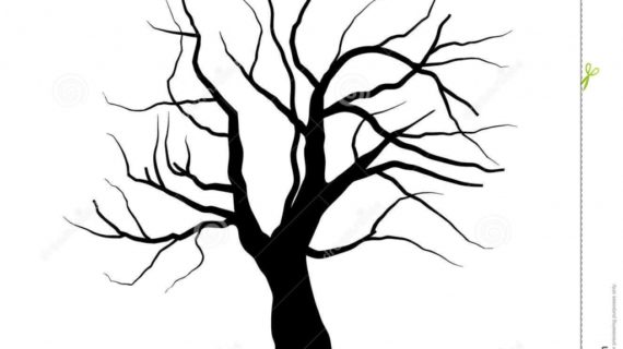 570x320 Drawings Of Trees With Leaves Simple Drawing Tree Without Leaves