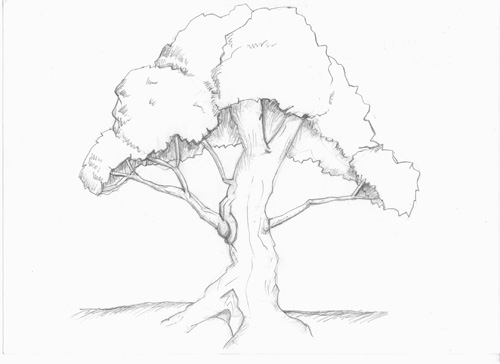 500x364 How To Sketch Trees