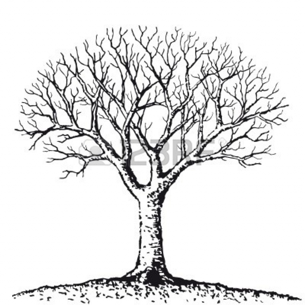 1024x1024 Tree Drawing Pictures Trees Tree Drawings And Hand Drawn