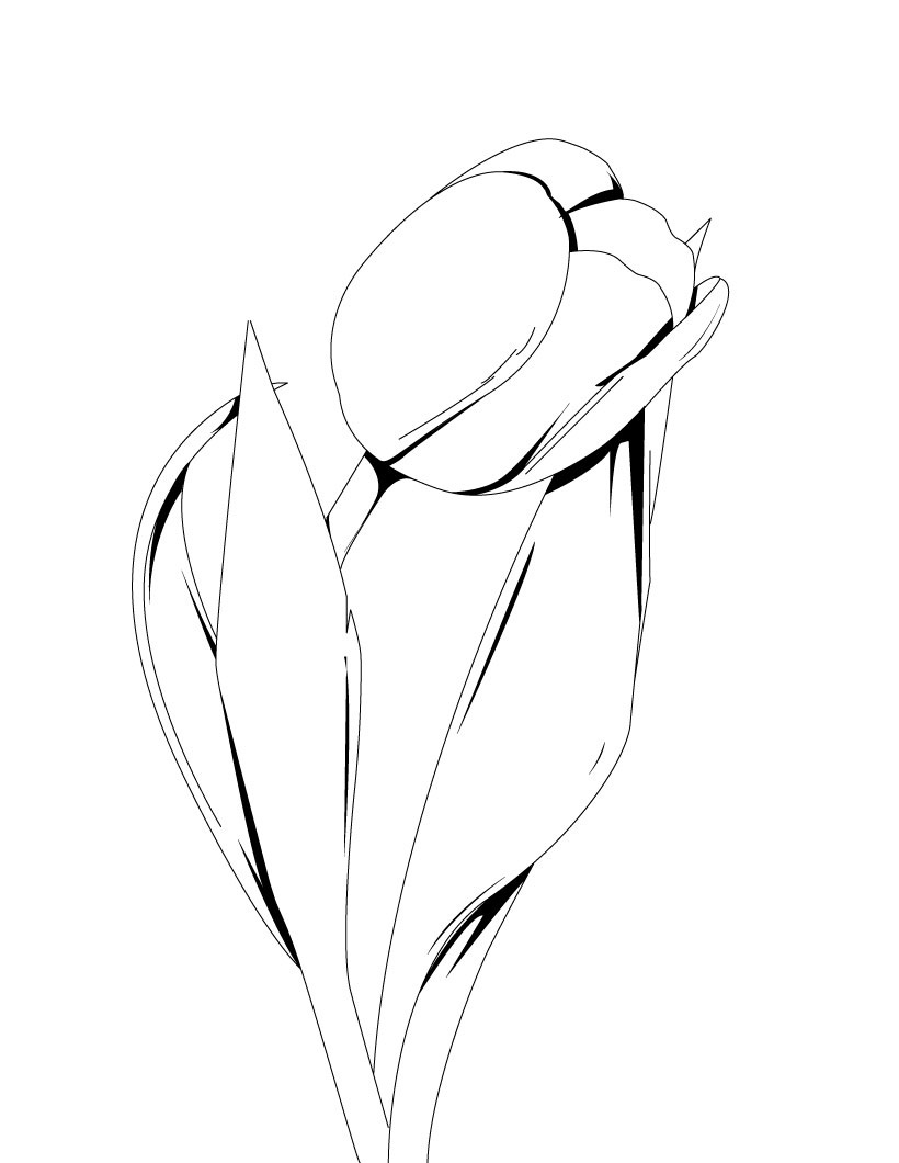820x1060 Free Printable Tulip Coloring Pages For Kids