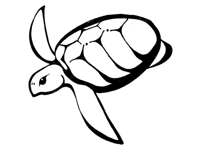 Simple Turtle Drawing