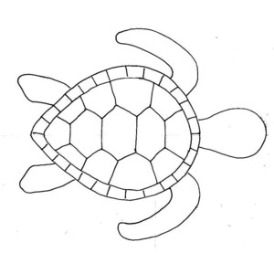 Simple Turtle Drawing at GetDrawings | Free download