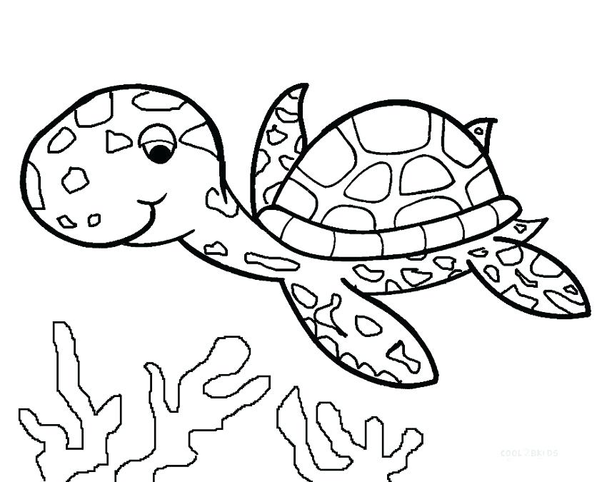 850x675 Easy Sea Turtle Printable Coloring Pages For Adults Sea Turtle