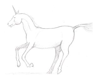 300x250 How To Draw A Unicorn