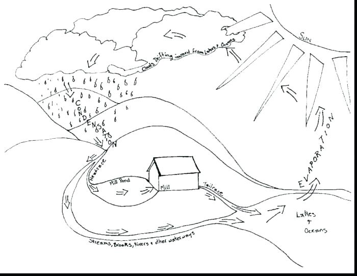 700x541 Top Rated Water Cycle Coloring Page Pictures Water Cycle Coloring