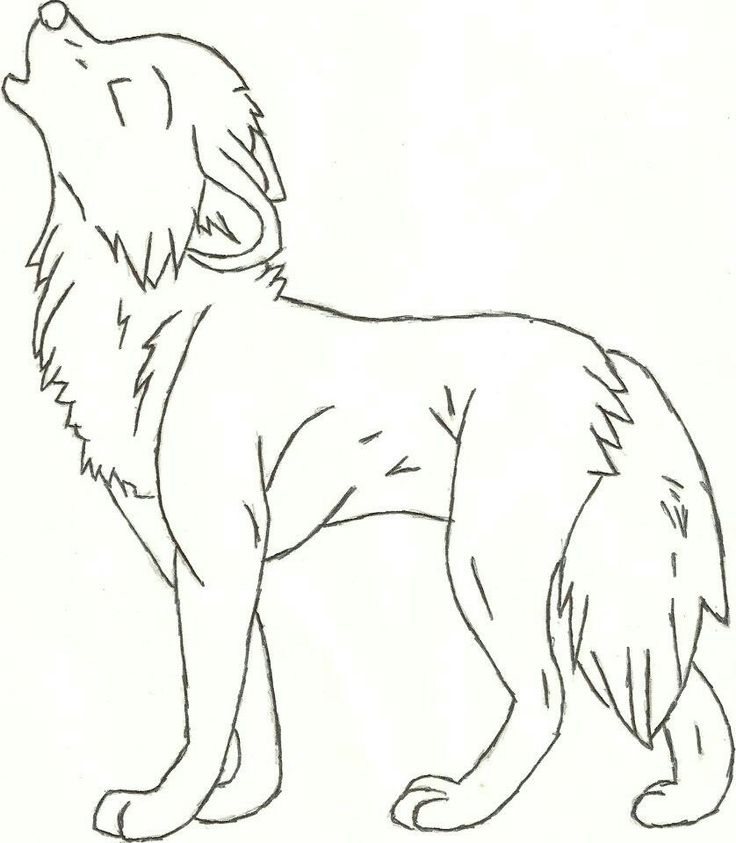 736x843 Wolf Drawing Easy 25 Trending Wolf Drawing Easy Ideas