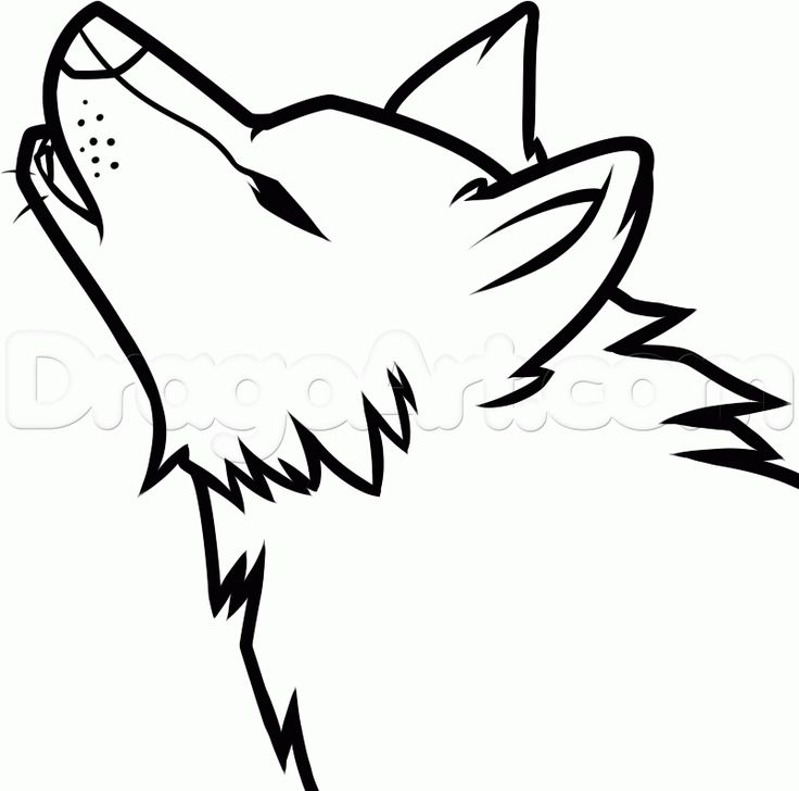 736x728 Afbeeldingsresultaat Voor Wolf Drawing Easy Drawing Inperation