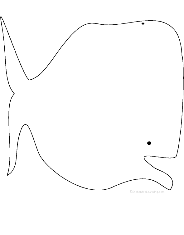 590x752 Whale Activities