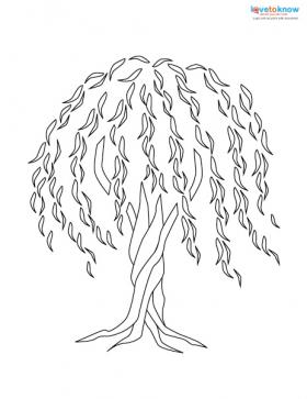 280x363 Willow Tree Tattoo Lovetoknow