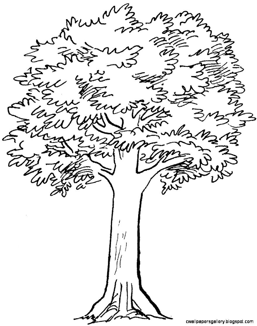 878x1116 August 2016 Wallpapers Gallery