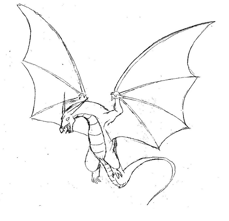 744x716 Simple Dragon Drawings With Wings Flying Dragon By Shelleyn