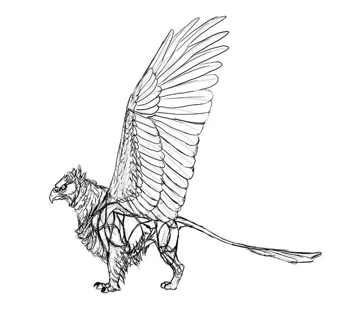 700x631 How To Draw A Griffin