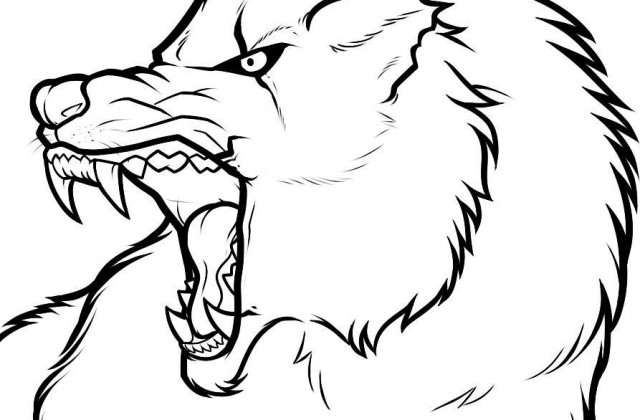 640x420 Tag For Mad Animals Cartoon Face Sketches Girl With Gun By