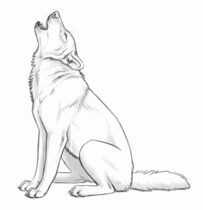 293x302 How To Draw Howling Wolves, Howling Wolf Step 10 Drawing