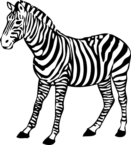 540x597 Zebra Clip Art
