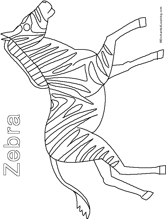 558x735 Zebra Printout (Simple)