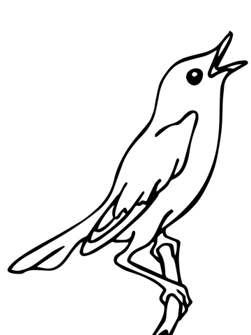360x480 Singing Nightingale Coloring Page Free Printable Coloring Pages