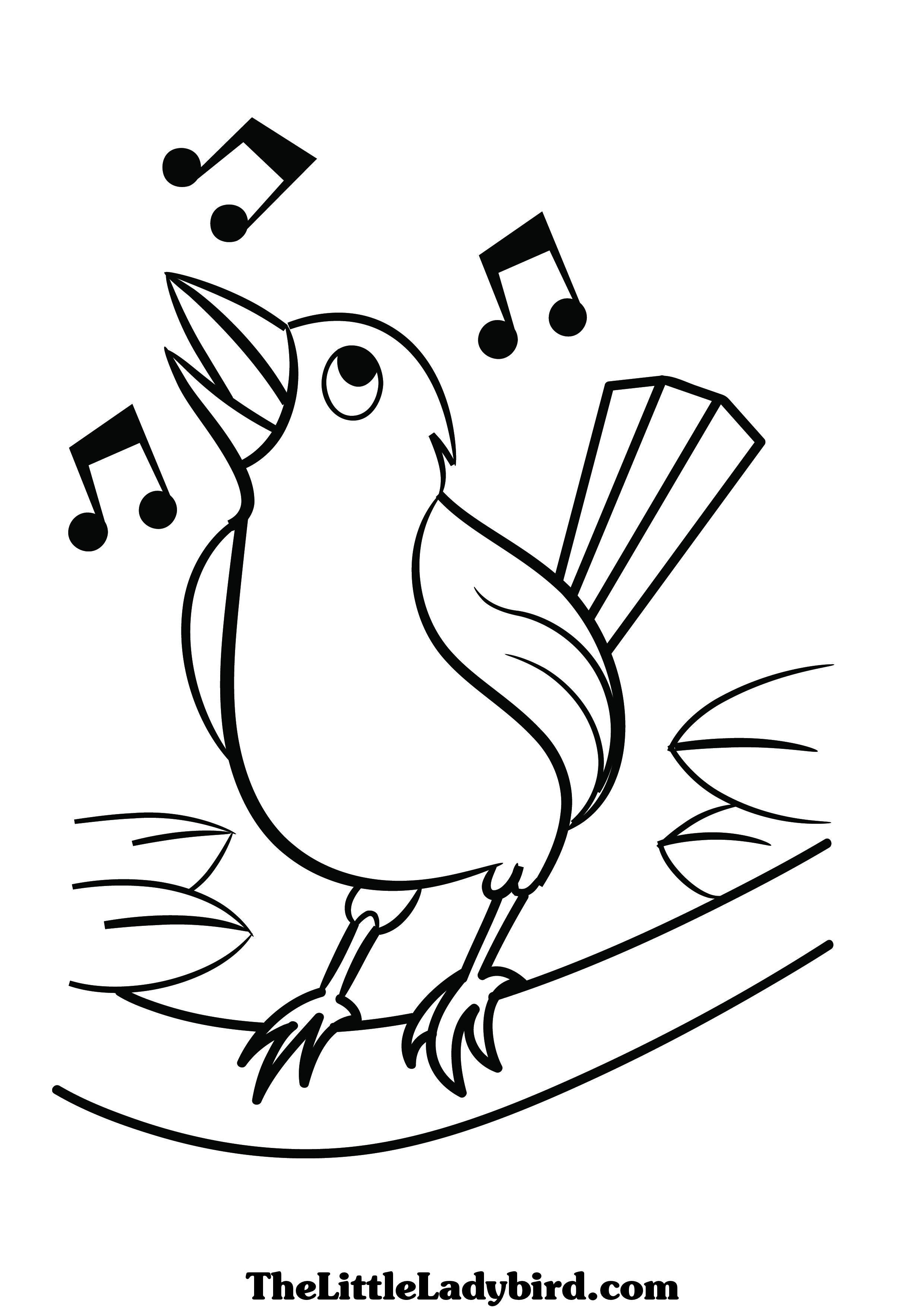 Ausmalbild Fruhling Singender Vogel Ausmalbilder Ausmalbilder Images