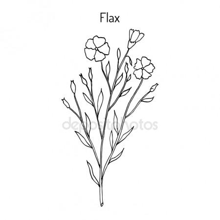 450x450 Image Result For Simple Flowers Design Drawing Drawing