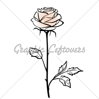 325x325 Single Rose Flower Isolated On The White Background, Vecto Gl