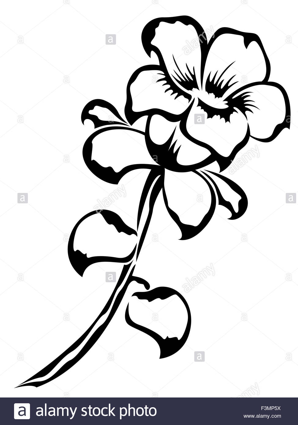 974x1390 Black Outline Of Single Flower Isolated On A White Background