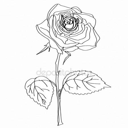 450x450 William Shakespeare. Sketch Illustration. Black And White Stock