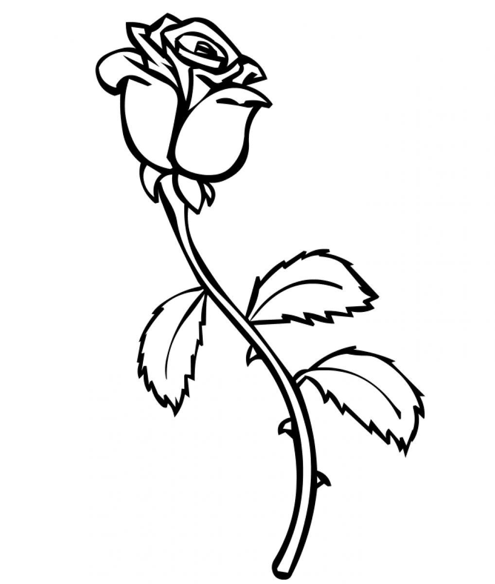 1018x1200 Rose Coloring Page